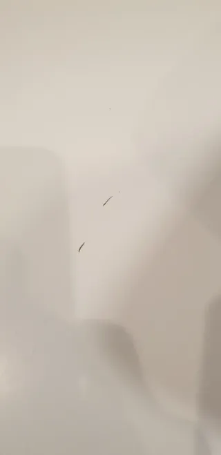 Sillas y mesa de comedor