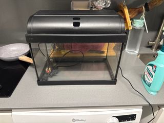 Acuario con filtro y calentador