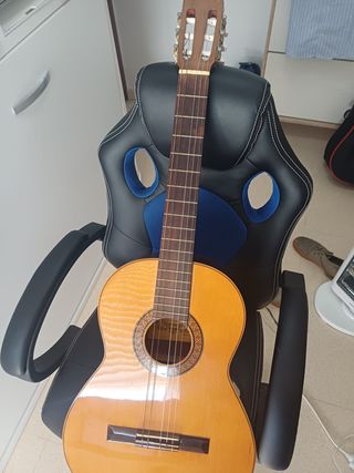 Guitarra Clásica Raimundo No118