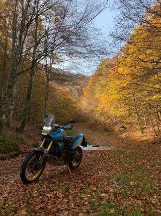 Yamaha Ténéré Rally 2021 Azul