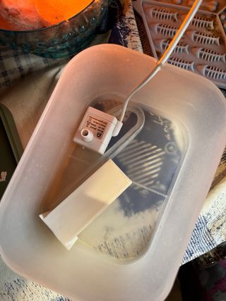 Fontanella per gatti in plastica