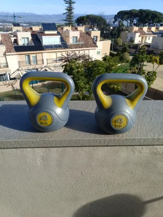 2 manubri russi da 4 kg