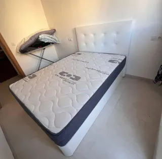 Canape canape canape canape canape canape canape