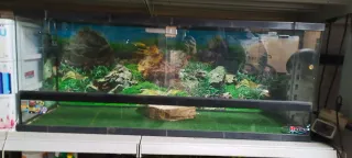 Terrario para reptiles en buen estado