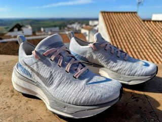 Nike Invincible Run 3 Gris/Rosa