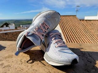 Nike Invincible Run 3 Gris/Rosa