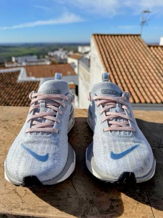 Nike Invincible Run 3 Gris/Rosa