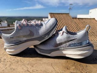 Nike Invincible Run 3 Gris/Rosa