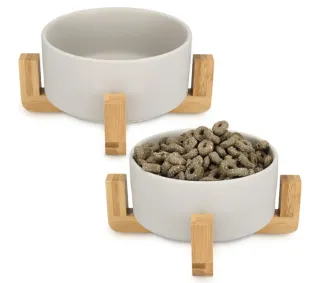 2 comederos elevados para perro