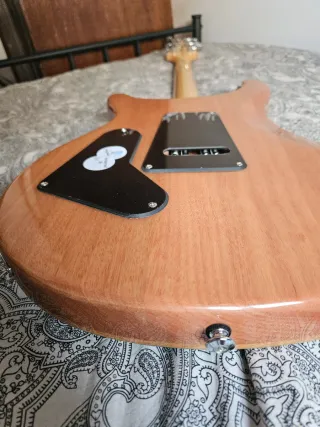 Guitarra PRS SE Custom 24 TU