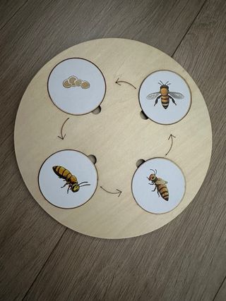 Puzzle madera ciclo vida animales