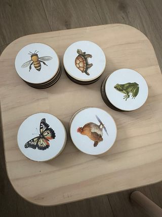 Puzzle madera ciclo vida animales