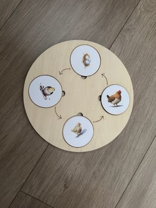 Puzzle madera ciclo vida animales