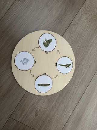 Puzzle madera ciclo vida animales