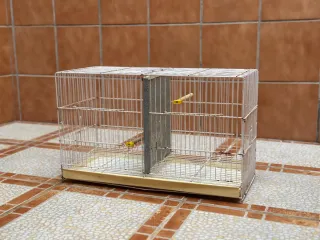 Pack jaulas para pájaros