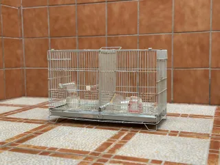 Pack jaulas para pájaros