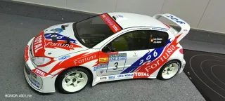 Coche RC 1/10 206 wrc Luis Monzón