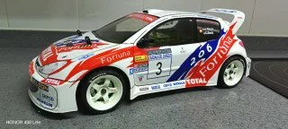 Coche RC 1/10 206 wrc Luis Monzón