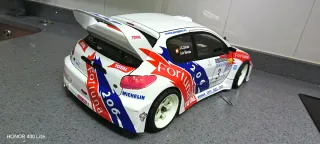 Coche RC 1/10 206 wrc Luis Monzón