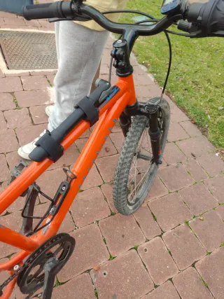 Bicicleta Infantil Naranja 20 Pulgadas