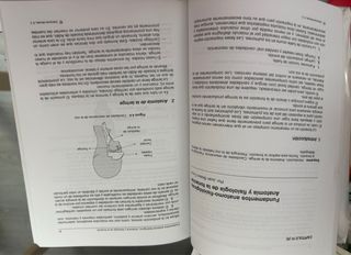 Fundamentos de musicoterapia