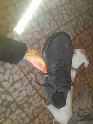 Zapatillas Nike Running Asfalto Negras