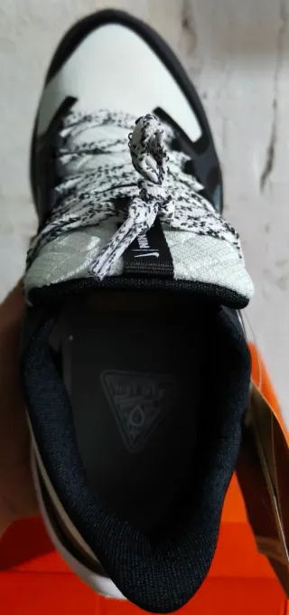 Nike Pegasus Gore-Tex Talla 42