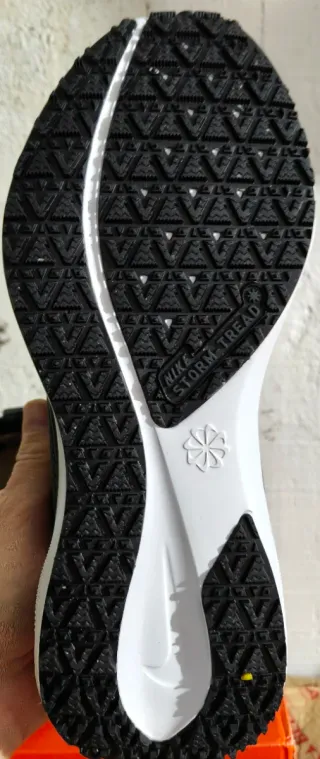 Nike Pegasus Gore-Tex Talla 42