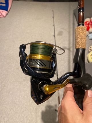 Caña de Pescar Mikado Golliat