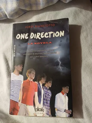 One Direction. La novela no oficial