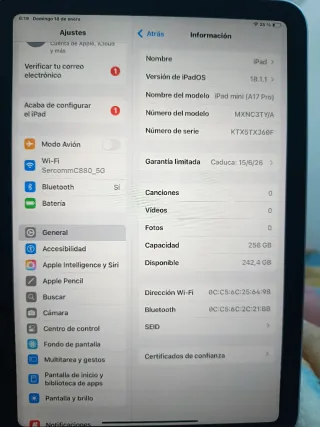iPad mini A17pro celeste
