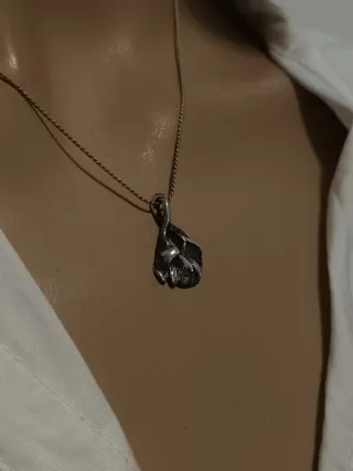 Colgante y cadena plata de ley