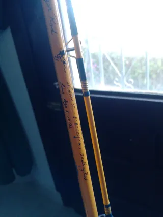 Caña de pescar amarilla