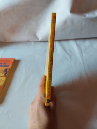 Los mejores juegos para tus vacaciones: Geronim...