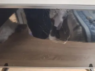 Televisor LG smartv cpn pantalla para cambiar