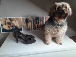 Zapatos Zara Ante Talla 38, tacón 8 cms