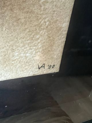 Cuadro Diaz Vargas Dibujo V