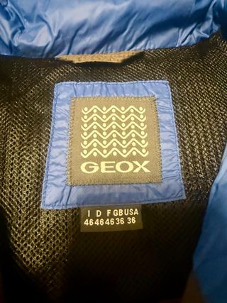 Piumino GEOX Uomo Taglia 46 Marrone