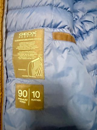 Piumino GEOX Uomo Taglia 46 Marrone