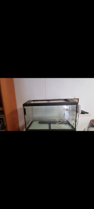 Acuario completo 80L con accesorios
