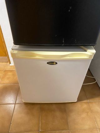 Nevera pequeña blanca y otra negra