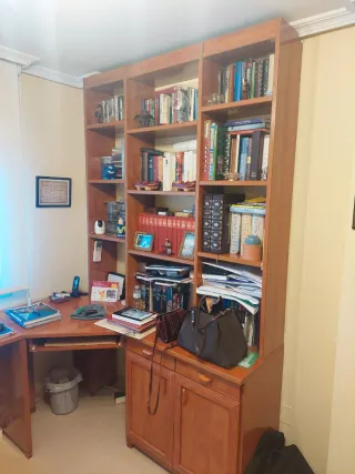 Escritorio de madera con estantería