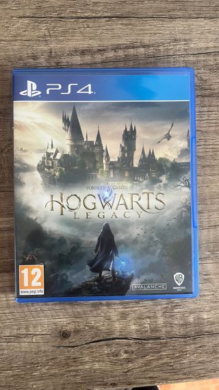 Hogwarts Legacy PS4 (PlayStation 4)