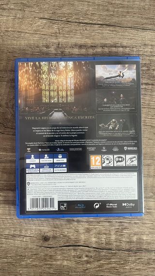 Hogwarts Legacy PS4 (PlayStation 4)