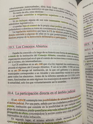 Manual de Derecho Constitucional I