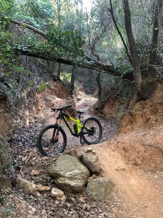 Norco Range C7.1