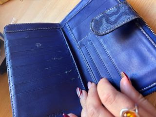 Cartera Tous Azul Klein