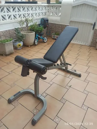 Banco de Gimnasio Profesional Body-Solid