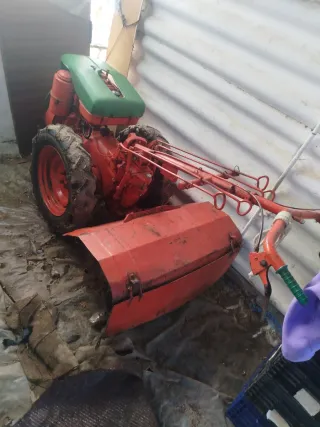 Multicultor naranja y verde