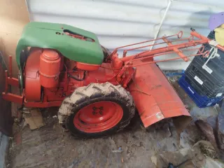 Multicultor naranja y verde